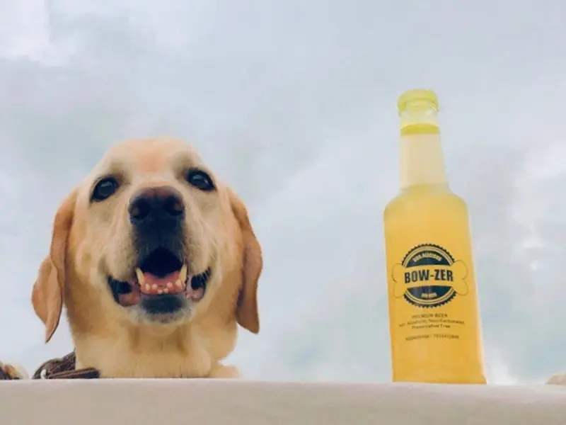 Dog.alicious, photo 5