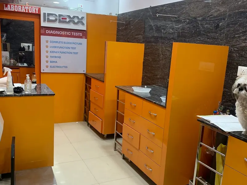 PETPLANET DOG CLINIC AND ANIMAL DIAGNOSTICS, photo 3