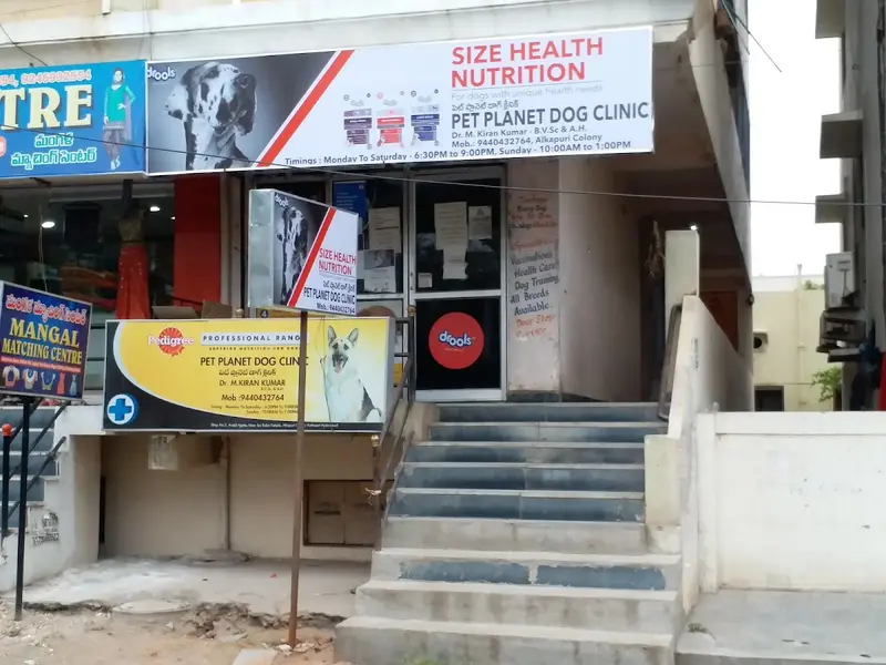 PETPLANET DOG CLINIC AND ANIMAL DIAGNOSTICS, photo 4