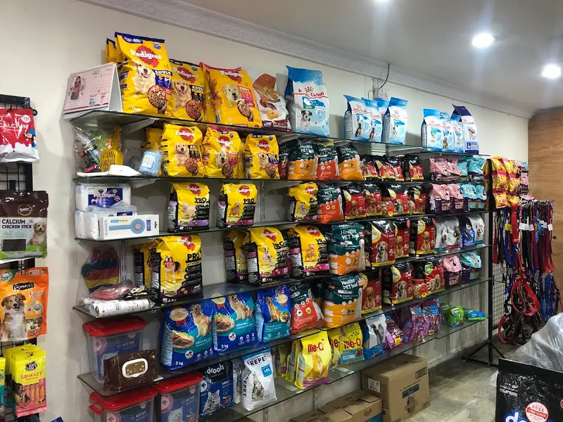 Shiva Pet Needs & Grooming, photo 2