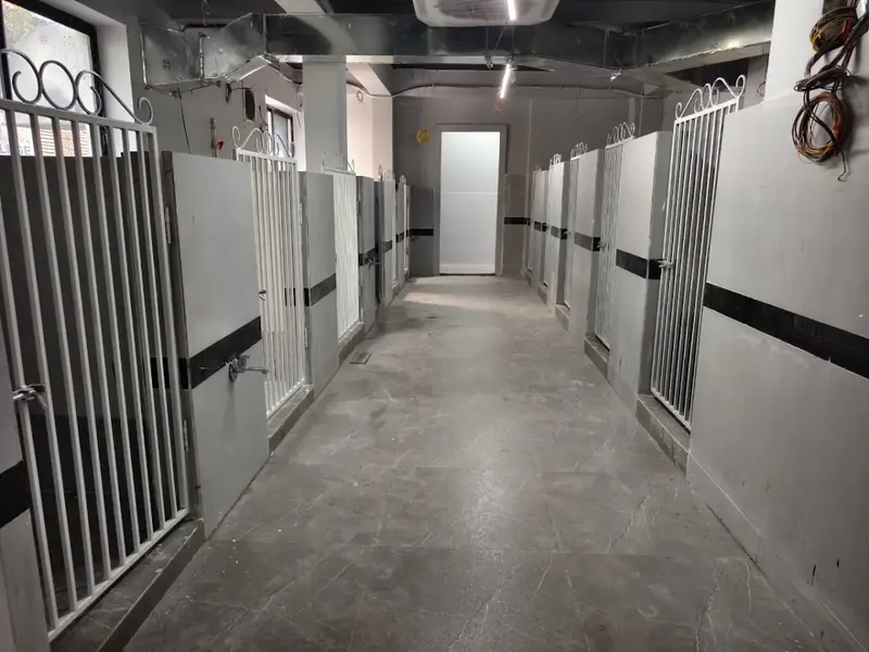 B2M VETCARE HOSPITAL GROOMING BOARDING, photo 2