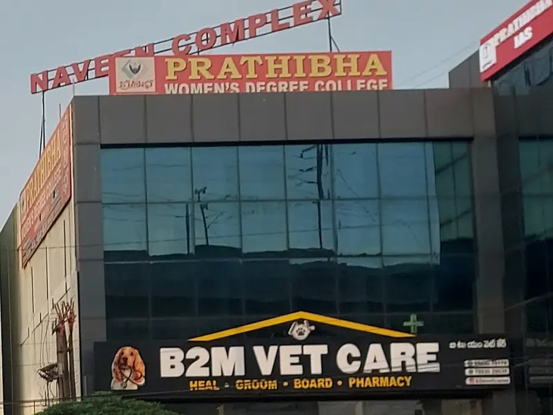 B2M VETCARE HOSPITAL GROOMING BOARDING, photo 3