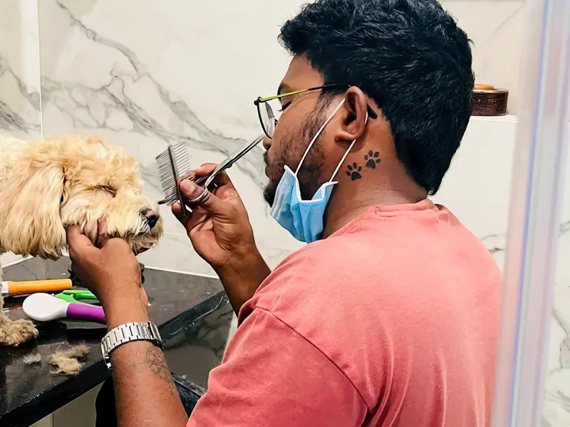 Happy pet grooming service, photo 2