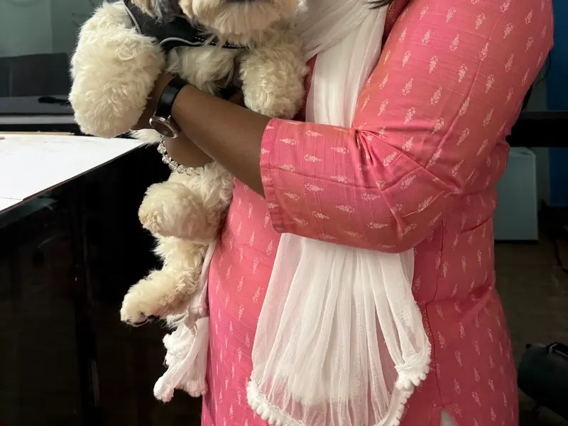Pretty paw 🐾 Pet Grooming Studio & clinic, photo 4