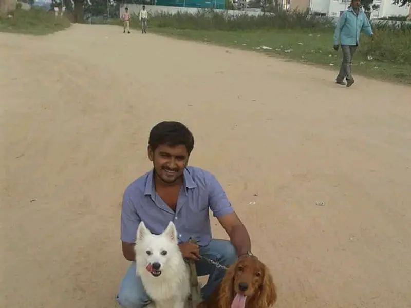 Surya Dog Trainer's, photo 2