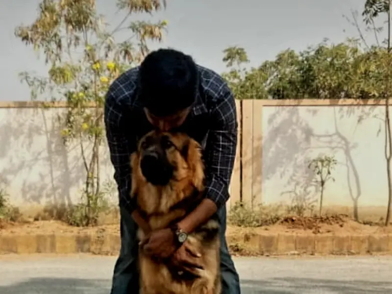 Surya Dog Trainer's, photo 3
