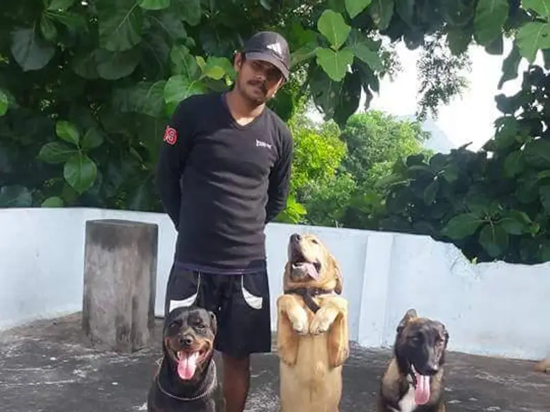Surya Dog Trainer's, photo 5