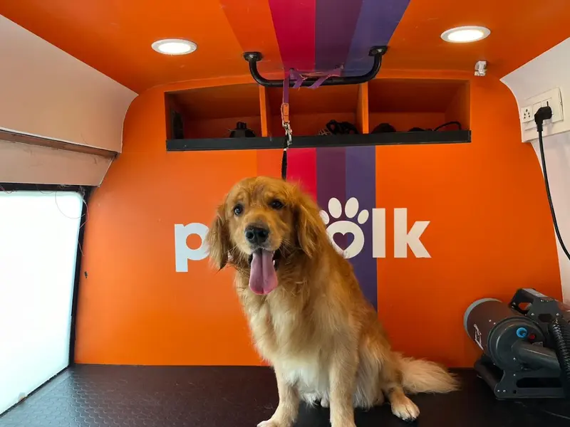 Petfolk, photo 2
