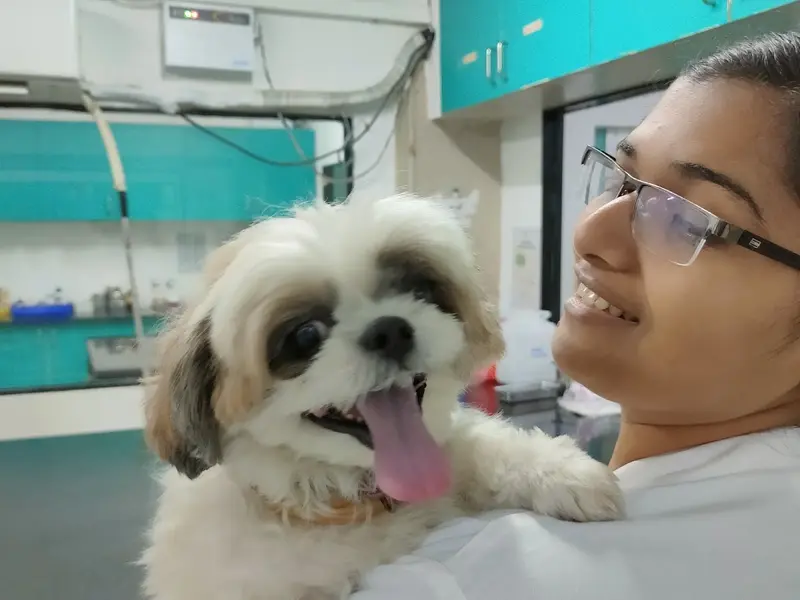 SKS Veterinary Hospital, Hyderabad, photo 3