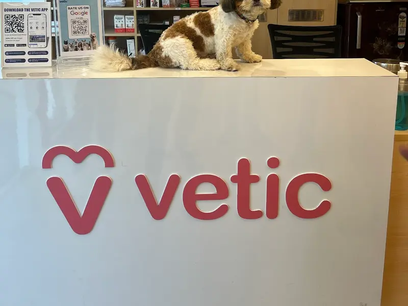Vetic Pet Clinic HITEC City, photo 2