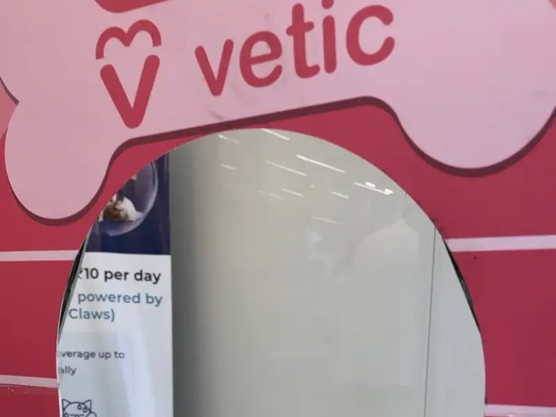 Vetic Pet Clinic HITEC City, photo 5