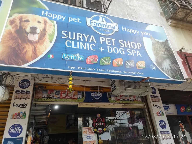 Surya Pet Shop & Clinic, photo 4