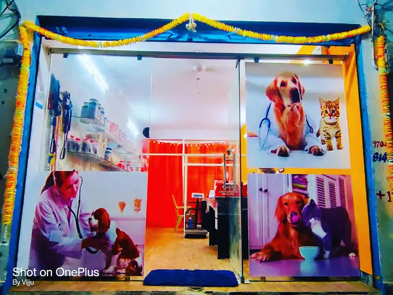 Vijaya Pet Care Clinic, photo 2