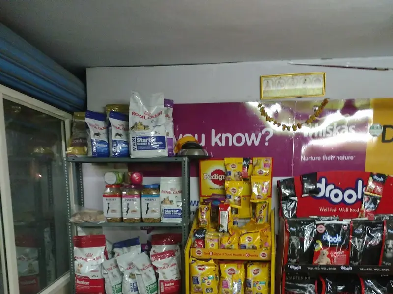 Doggy and cat care clinics, photo 3