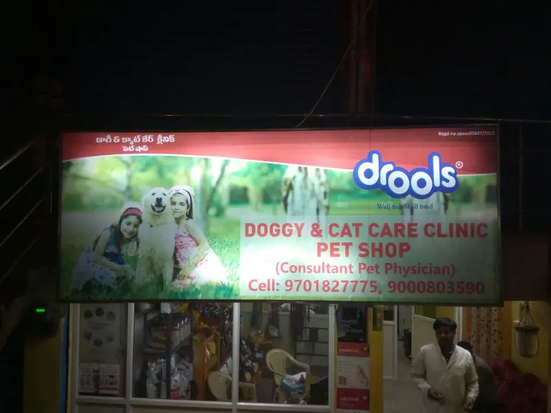 Doggy and cat care clinics, photo 4