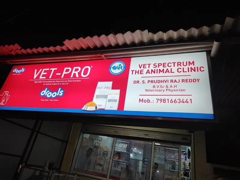 VET SPECTRUM - THE ANIMAL CLINIC, photo 4