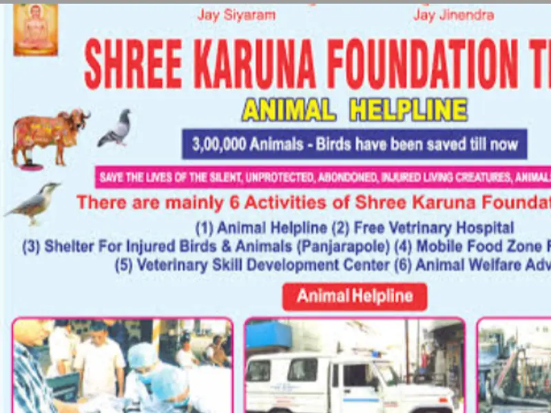 ANSH KENNELS, photo 4