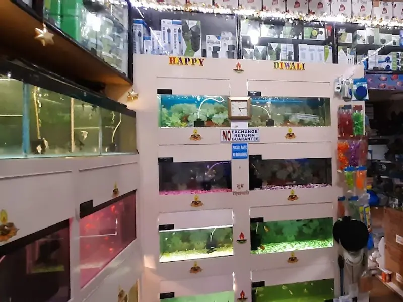 Aquageni Aquarists, photo 2