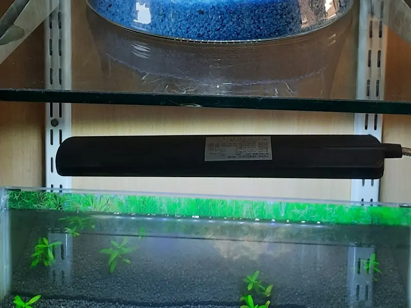 Aquageni Aquarists, photo 3