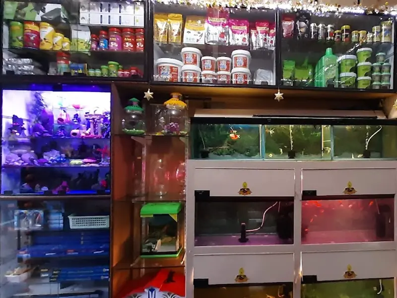 Aquageni Aquarists, photo 5