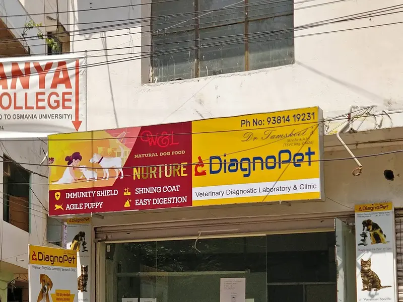 DiagnoPet Veterinary Diagnostics, photo 5