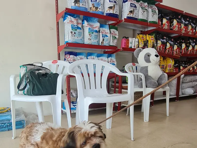 Fur Nation Pet Clinic and Store, photo 3