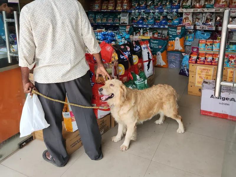 RAJ VETERINARY MEDICAL(Pets Medical store), photo 2