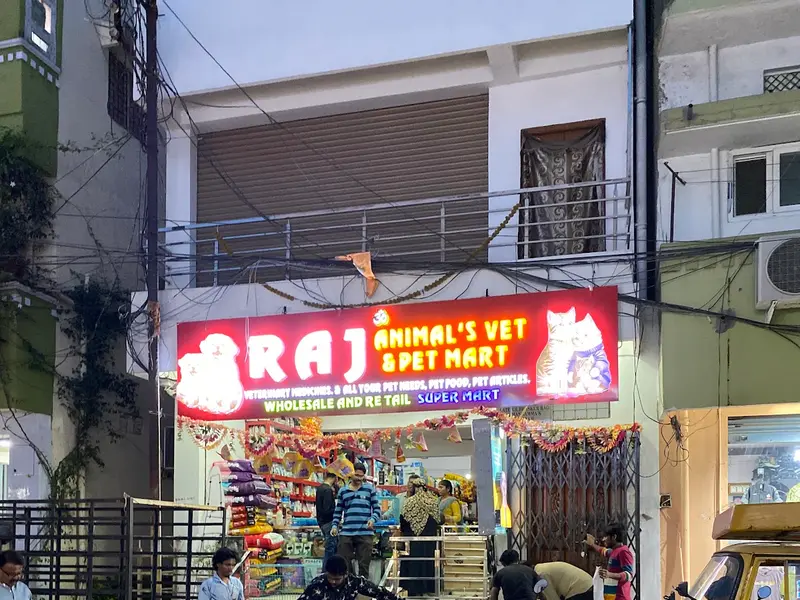 RAJ VETERINARY MEDICAL(Pets Medical store), photo 5