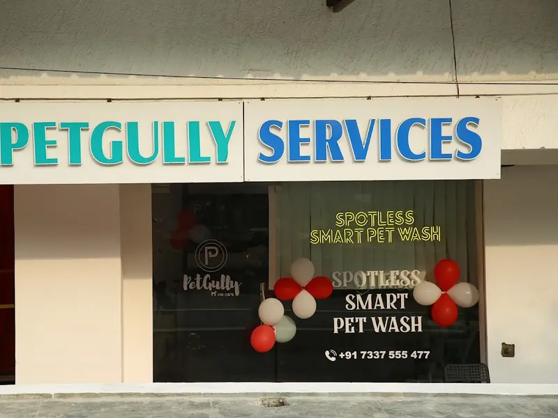 Petgully Services Spotless & Pet Grooming Solutions, photo 3