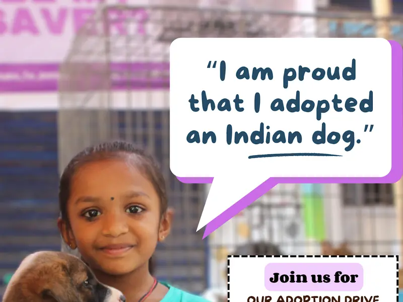 Citizens for animals, photo 2