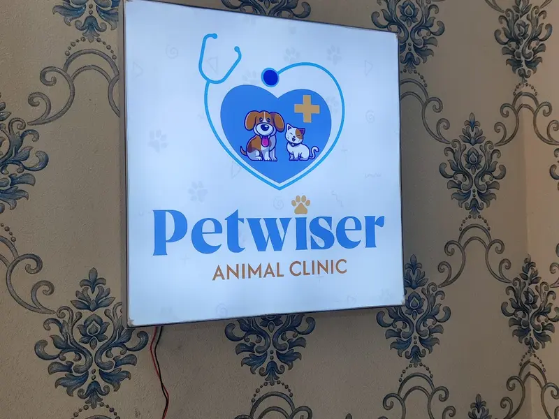 Petwiser Animal Clinic, photo 3