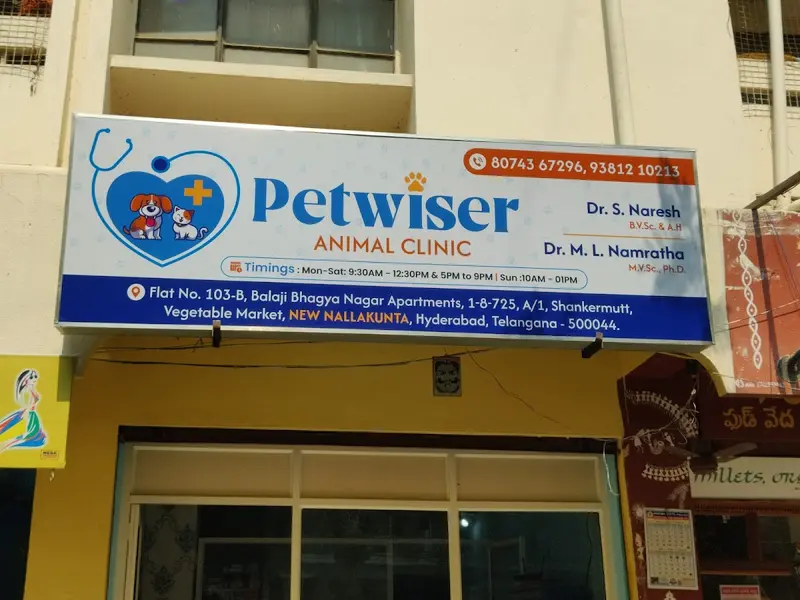 Petwiser Animal Clinic, photo 4
