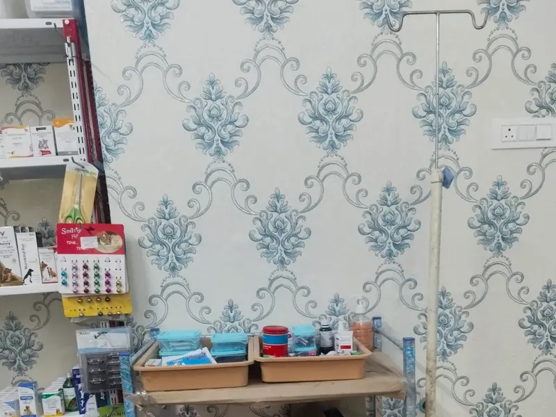 Petwiser Animal Clinic, photo 5
