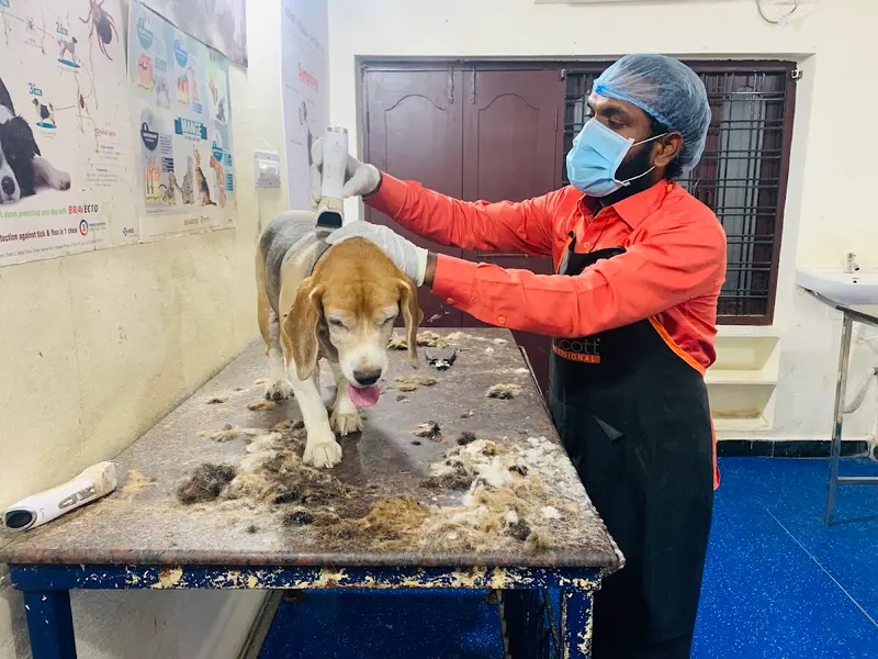 PETPLANET DOG CLINIC and surgical center, photo 4