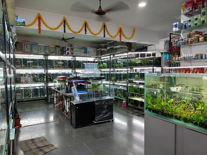 Fishykart, photo 2
