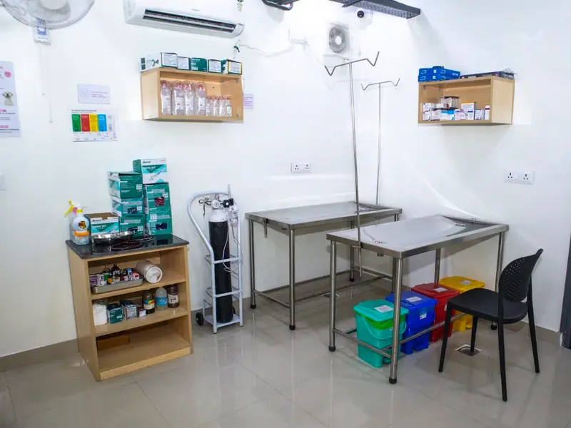 Vetic Pet Clinic Manikonda, photo 3