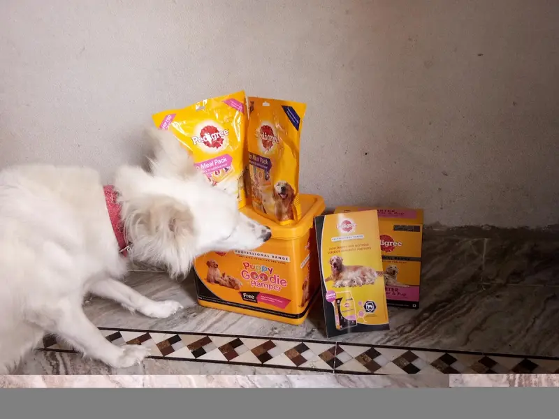 Noble Pet & Veterinary medical hall, photo 5