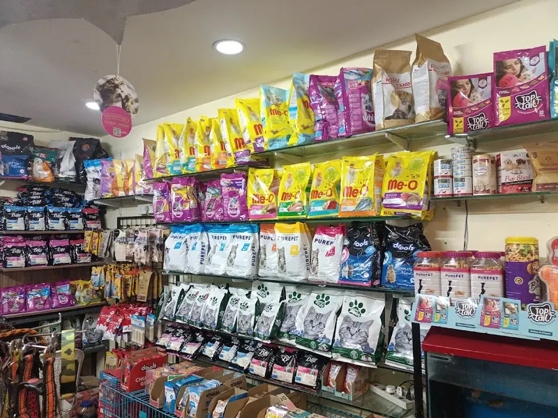 HYDERABAD EXOTIC PETS ALL PETS & FOOD AVAILABLE, photo 2