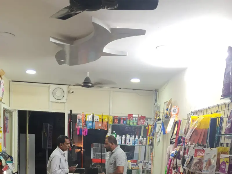 HYDERABAD EXOTIC PETS ALL PETS & FOOD AVAILABLE, photo 5