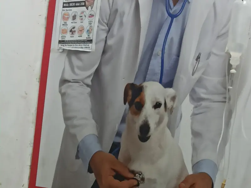 ADITYA PET CLINIC, photo 2