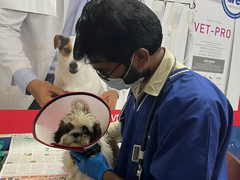 ADITYA PET CLINIC, photo 3