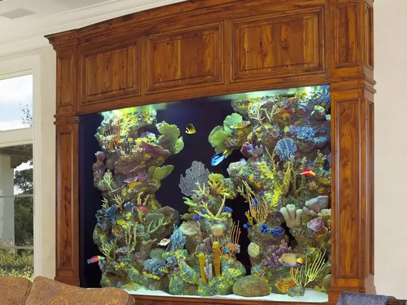 Blue Sea Aquariums and Pets, photo 2