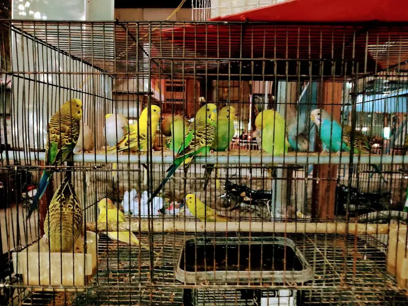 Blue Sea Aquariums and Pets, photo 5