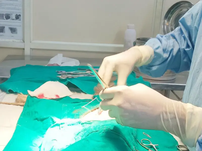 Pets Care Super Speciality Hospital (Karmanghat), photo 2