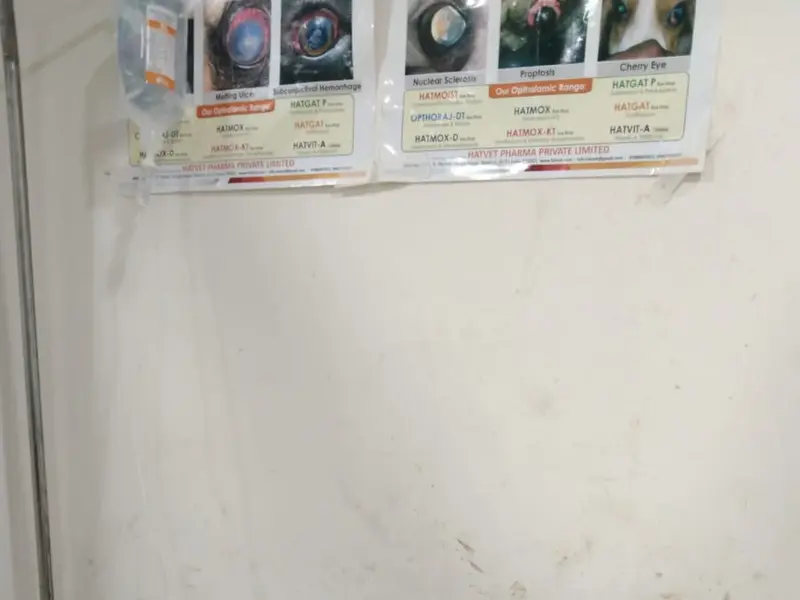 Pets Care Super Speciality Hospital (Karmanghat), photo 4