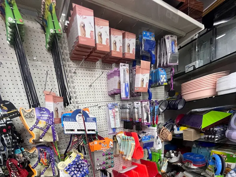 Kings Fish World - Pet's Hub, photo 4