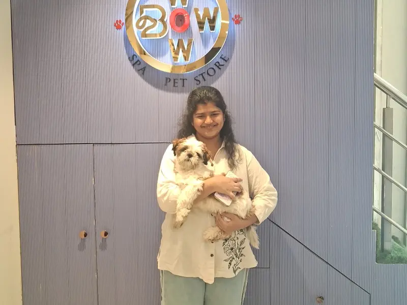 Bow Wow Pet Store & Spa, photo 3