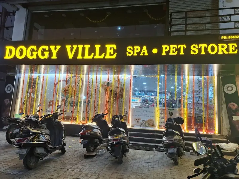 Doggy Ville – Dog Walking & Sitting Hyderabad, photo 2