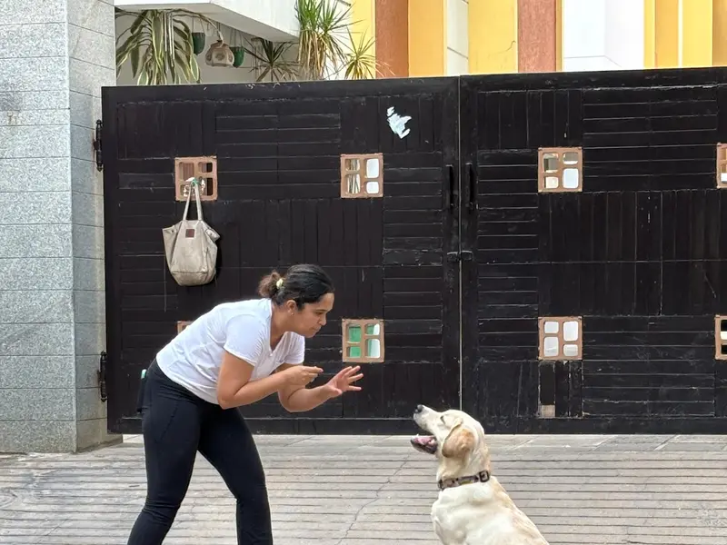 Joellas Dog Care - Dog Training, photo 4