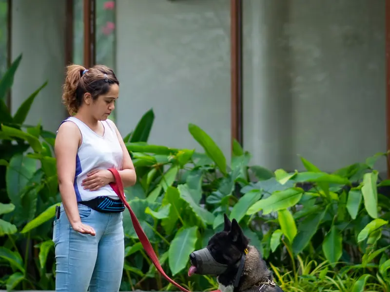 Joellas Dog Care - Dog Training, photo 5